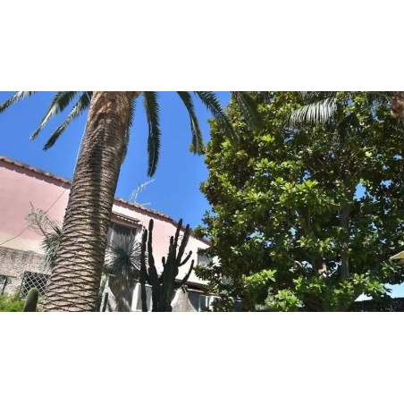 Hotel Villa Franca