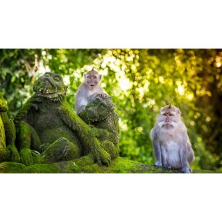 Rundreisen Indonesien: Bali für Einsteiger