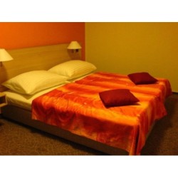 Hotel Ehrlich