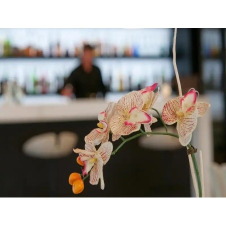 AS Hotel Limbiate Fiera