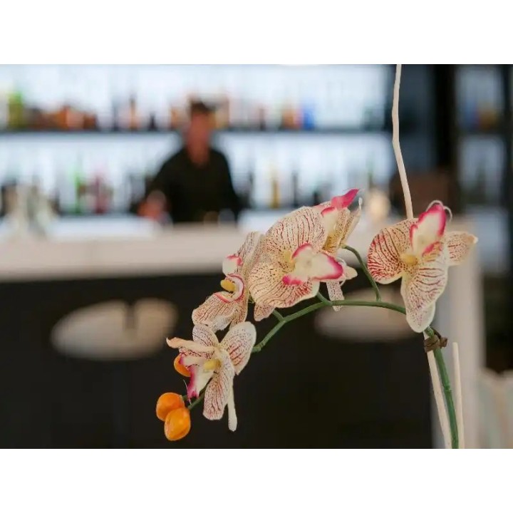 AS Hotel Limbiate Fiera