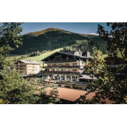 Der Gollinger