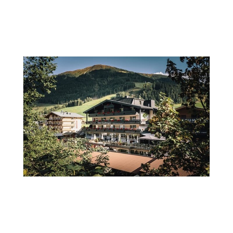 Der Gollinger