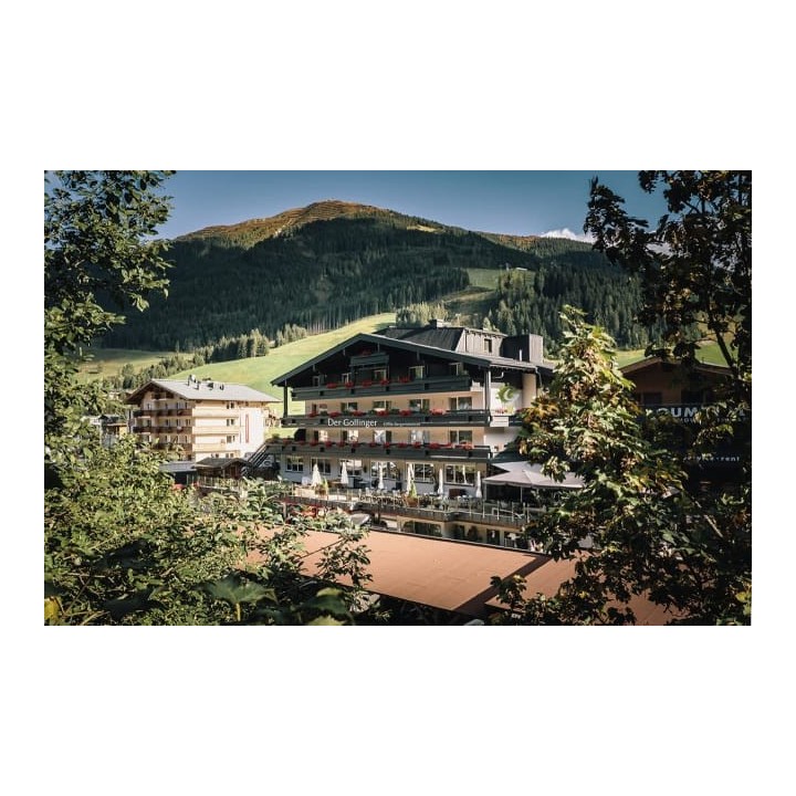 Der Gollinger