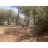 Villaggio Camping Cieloverde