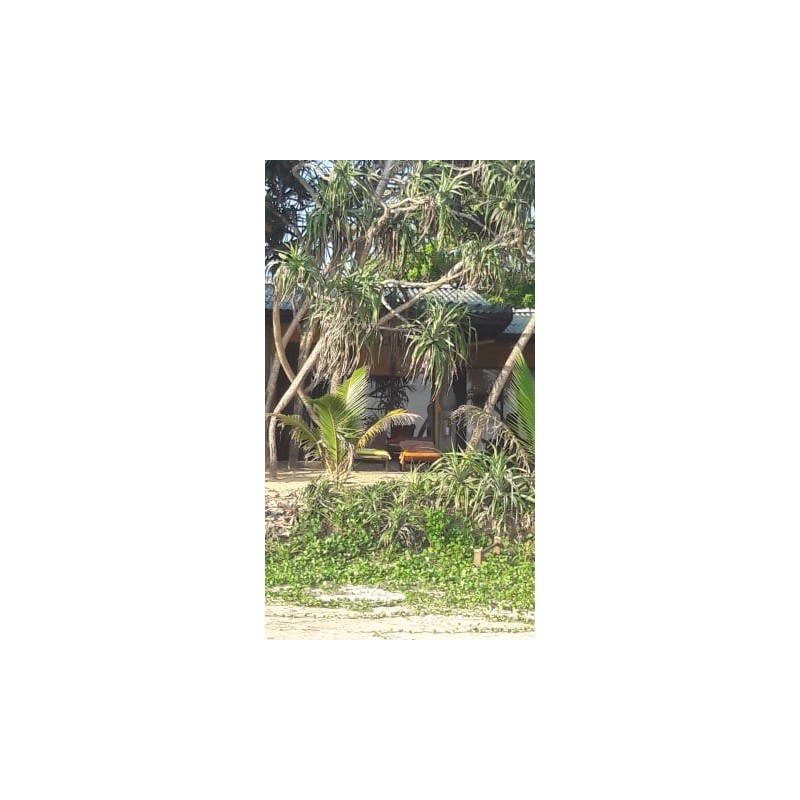 The Beach Cabanas Retreat &Spa