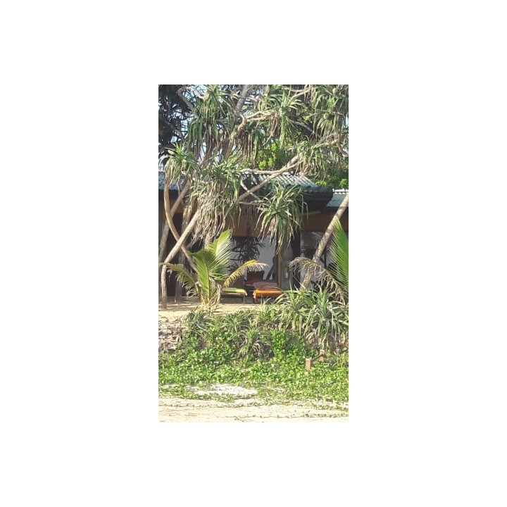 The Beach Cabanas Retreat &Spa