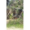 The Beach Cabanas Retreat &Spa