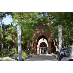Barceló Palmeraie