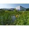 3 Tage Urlaub im Hotel Rennsteig in Masserberg im Thüringer Wald mit Halbpension