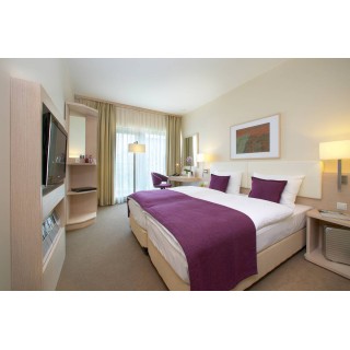 Four Points Flex by Sheraton Koblenz
