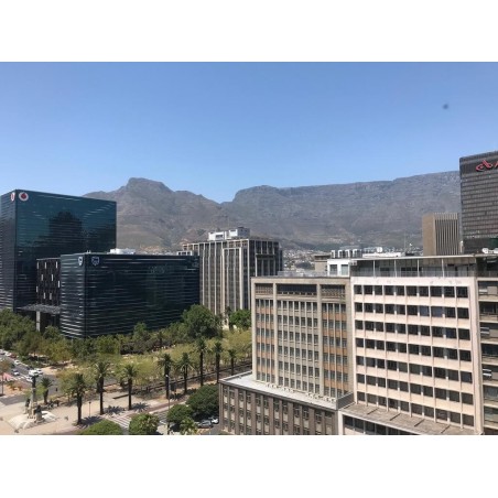Capetonian