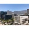 Capetonian