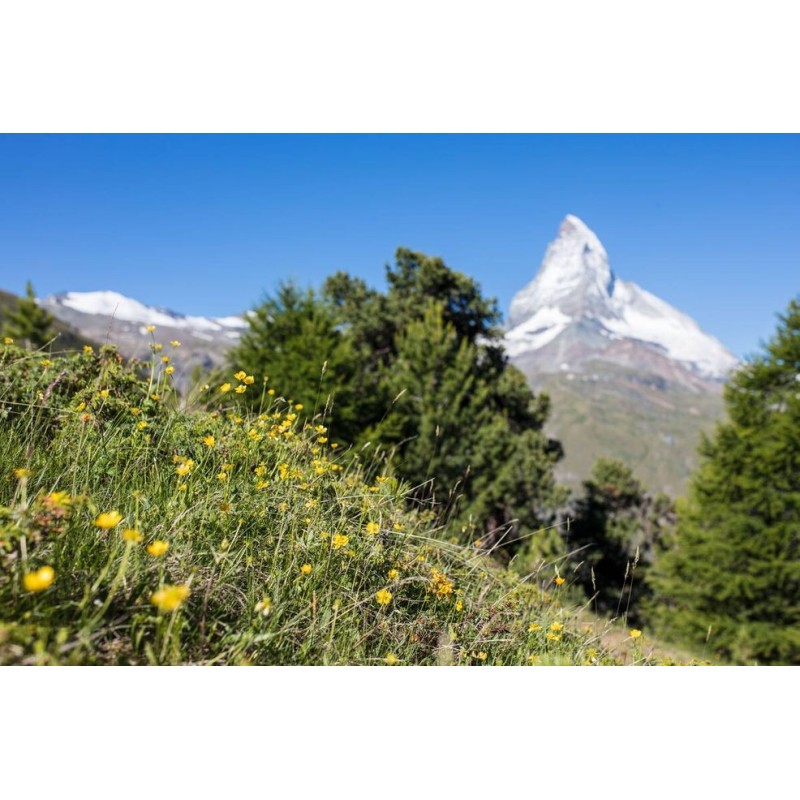 Preisknüller-Tour Schweiz