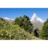Preisknüller-Tour Schweiz