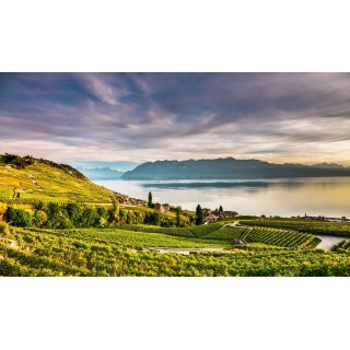 Bahn-Wandern GoldenPass & Genfersee - Hotel Masson