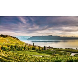 Bahn-Wandern GoldenPass & Genfersee - Hotel Masson