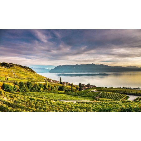Bahn-Wandern GoldenPass & Genfersee - Hotel Masson