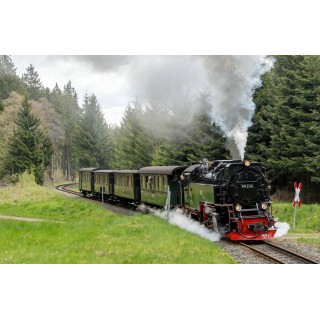 Bahn-Wandern im Harz