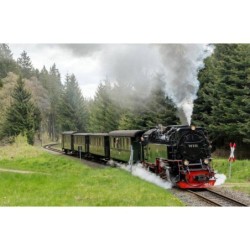 Bahn-Wandern im Harz