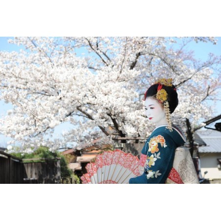 Japan - Rundreise durch das Land des Lächelns