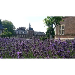 Sternradtour Münsterland