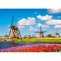 Zeeland - Inselhüpfen auf holländisch