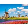 Zeeland - Inselhüpfen auf holländisch