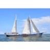 Sail & Bike im Wattenmeer