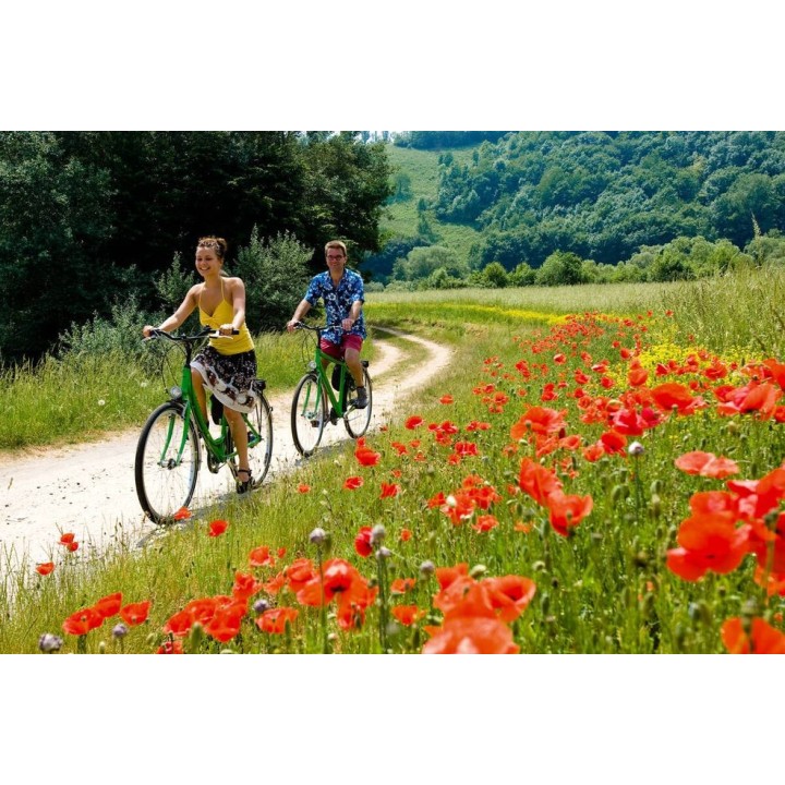 Main-Radweg Würzburg-Aschaffenburg