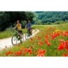 Main-Radweg Würzburg-Aschaffenburg
