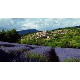 Die Provence per E-Bike