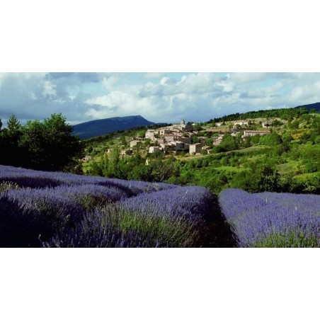 Die Provence per E-Bike