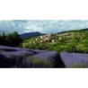 Die Provence per E-Bike