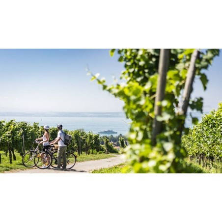 Bodensee Preisknüllertour