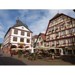Main Winzertour
