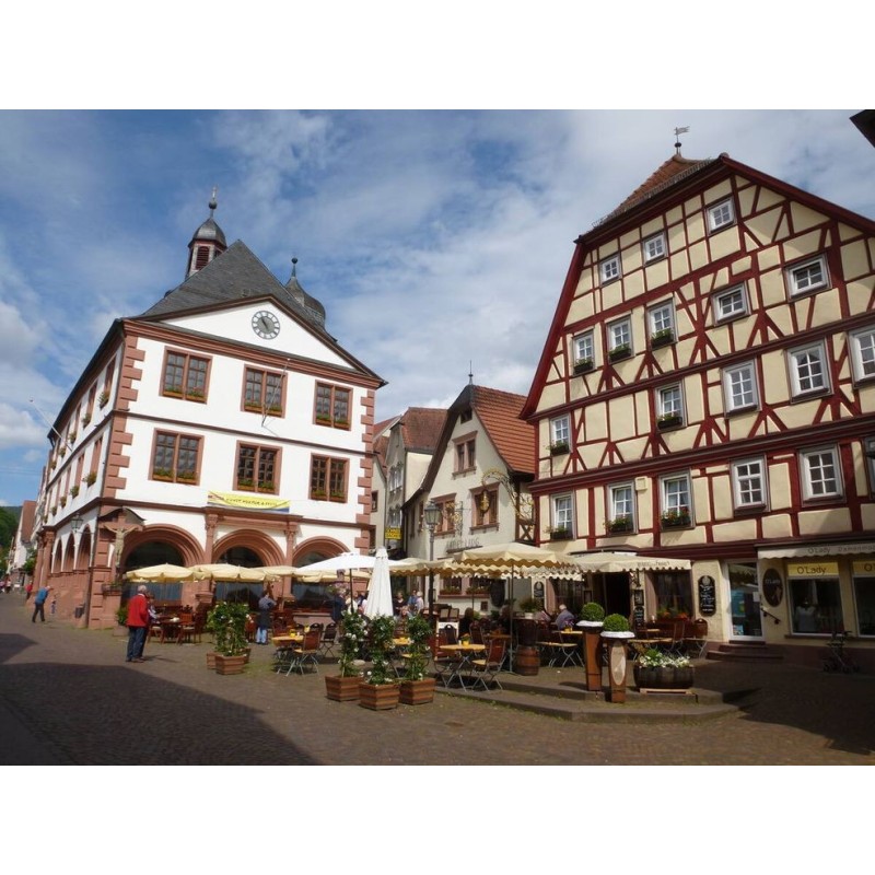 Main Winzertour