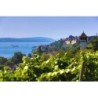 Bodensee  Sternradtour