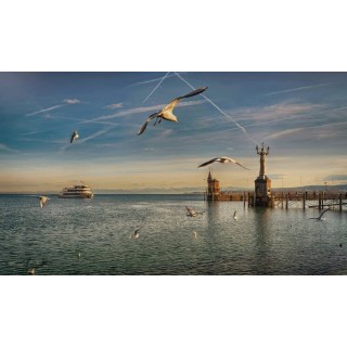 Bodensee gemütlich