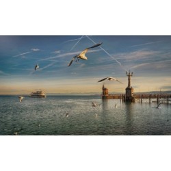 Bodensee gemütlich