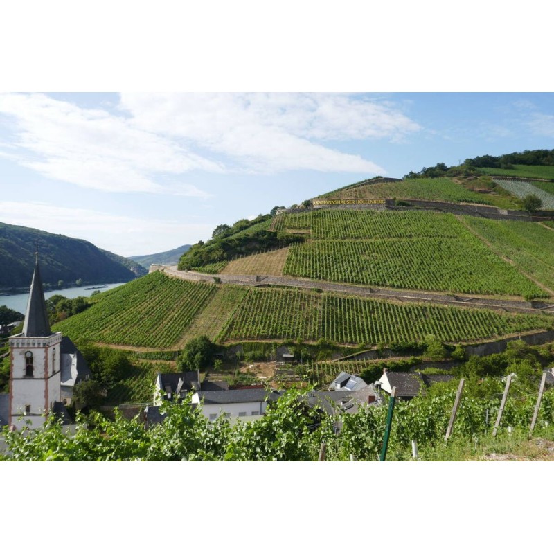 Rhein Winzertour