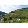 Rhein Winzertour