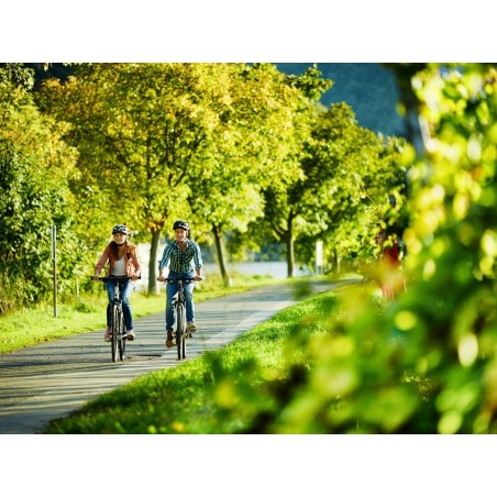 Mosel-Kurztour Trier - Traben-Trarbach