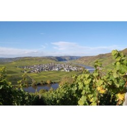 Mosel-Radweg Trier - Koblenz