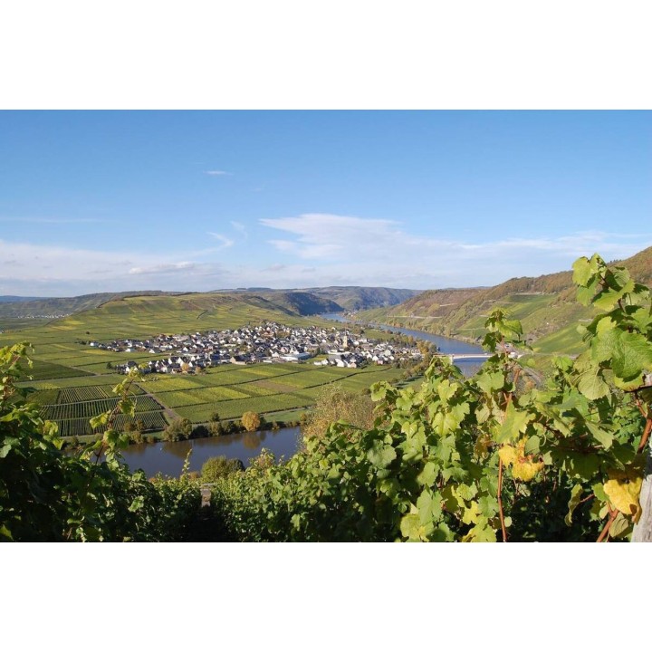 Mosel-Radweg Trier - Koblenz