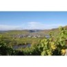 Mosel-Radweg Trier - Koblenz