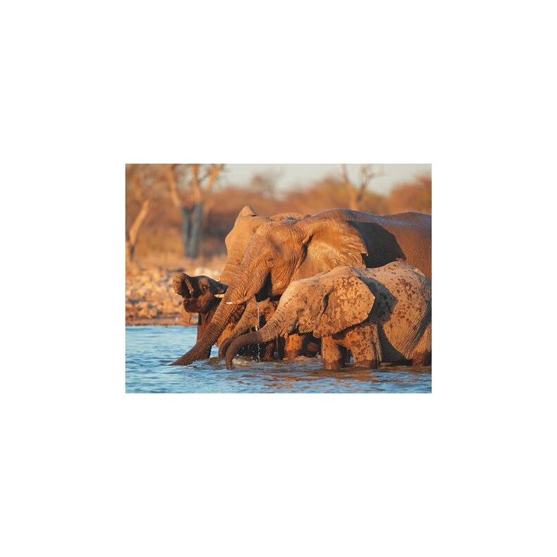 Rundreisen Namibia: Raue Schönheit am Atlantik