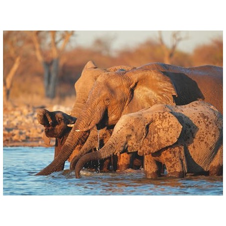 Rundreisen Namibia: Raue Schönheit am Atlantik