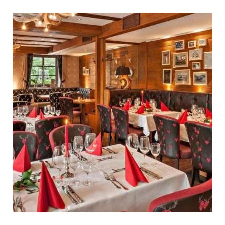 Hotel Schäfflerwirt
