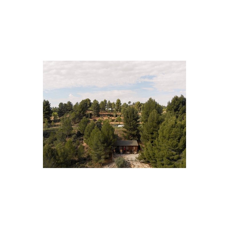 Slow Life Camping Venta del Moro
